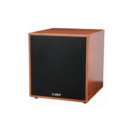 Cinema speaker SK-12B
