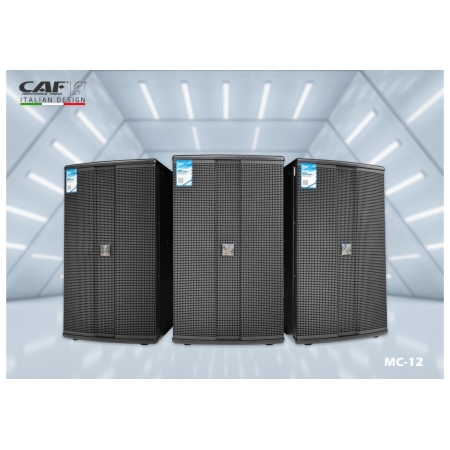 Pro-Series speaker CAF MC-12