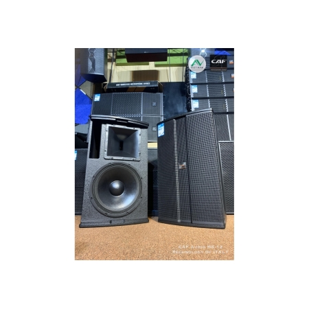 Pro-Series speaker CAF MC-12