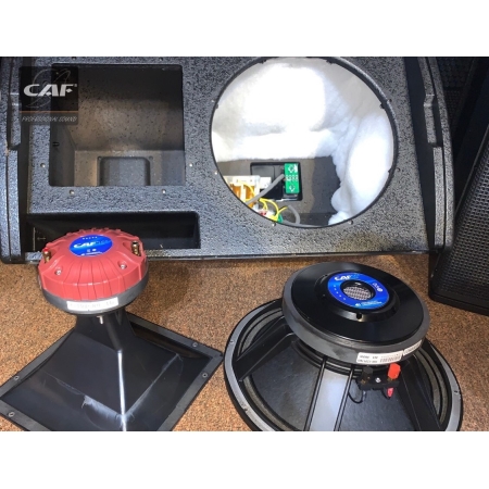 Pro-Series speaker CAF MC-12