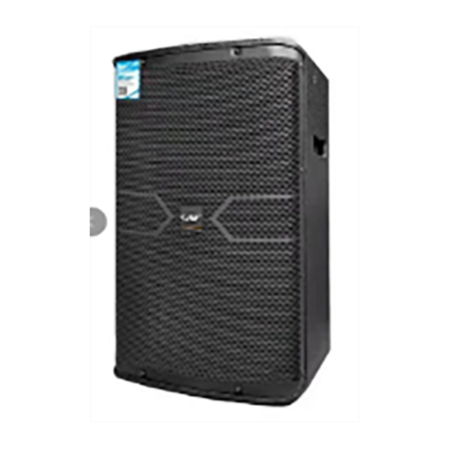 Pro-Series speaker CAF SV-12