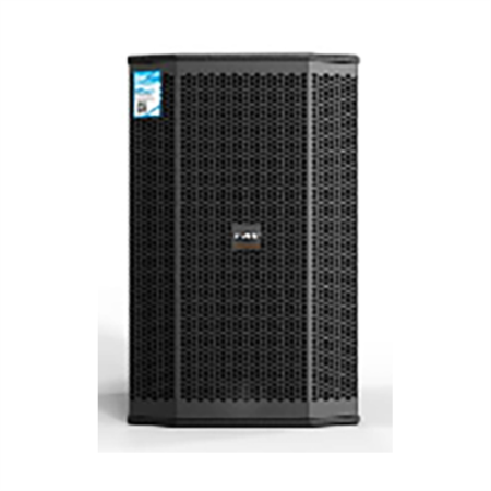 Pro-Series speaker CAF X-12 pro